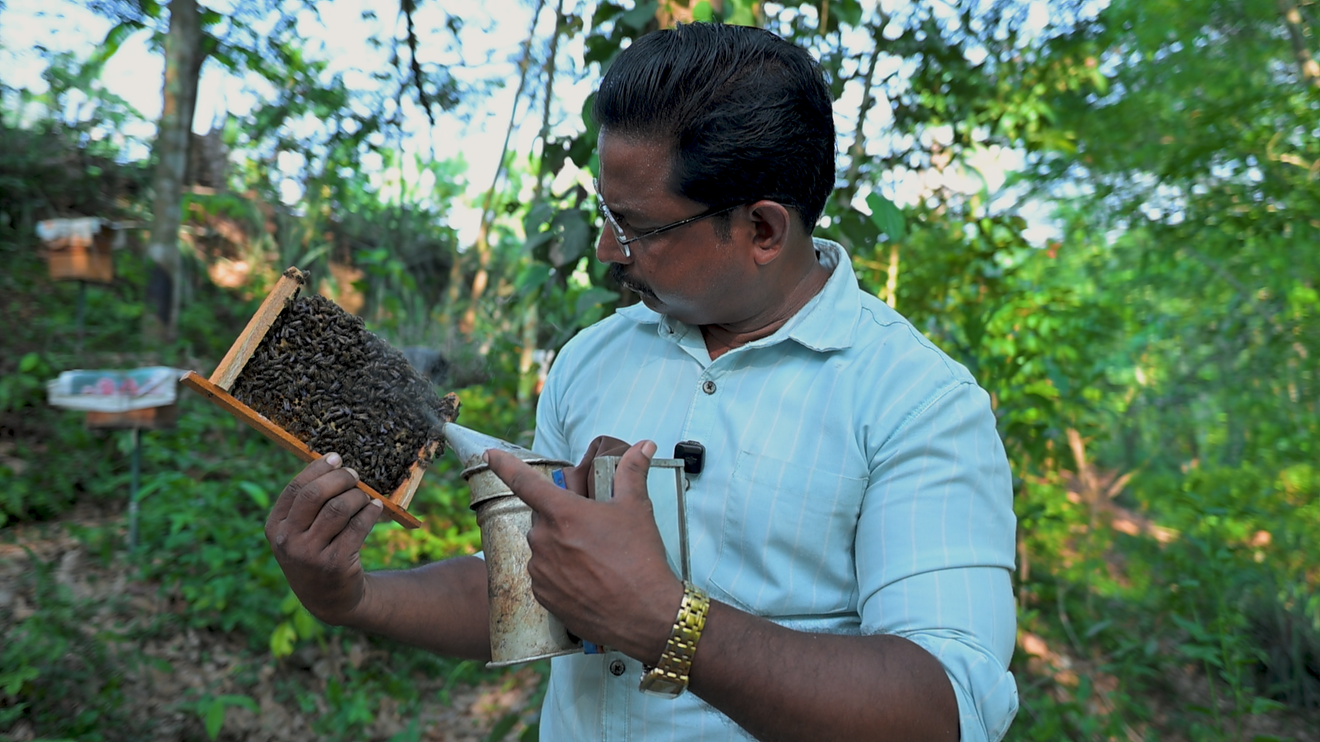 ഒരിക്കലും നഷ്ട്ടം വരാത്ത ഒരേഒരു കൃഷി