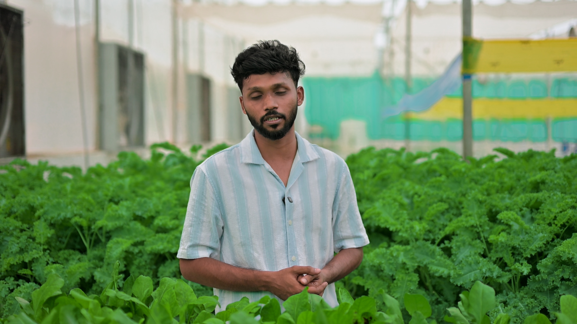 റിസ്കെടുത്തു തുടങ്ങിയ മണ്ണില്ലാത്ത കൃഷിയിൽ പൊന്ന് വിളയിച്ച കർഷകൻ