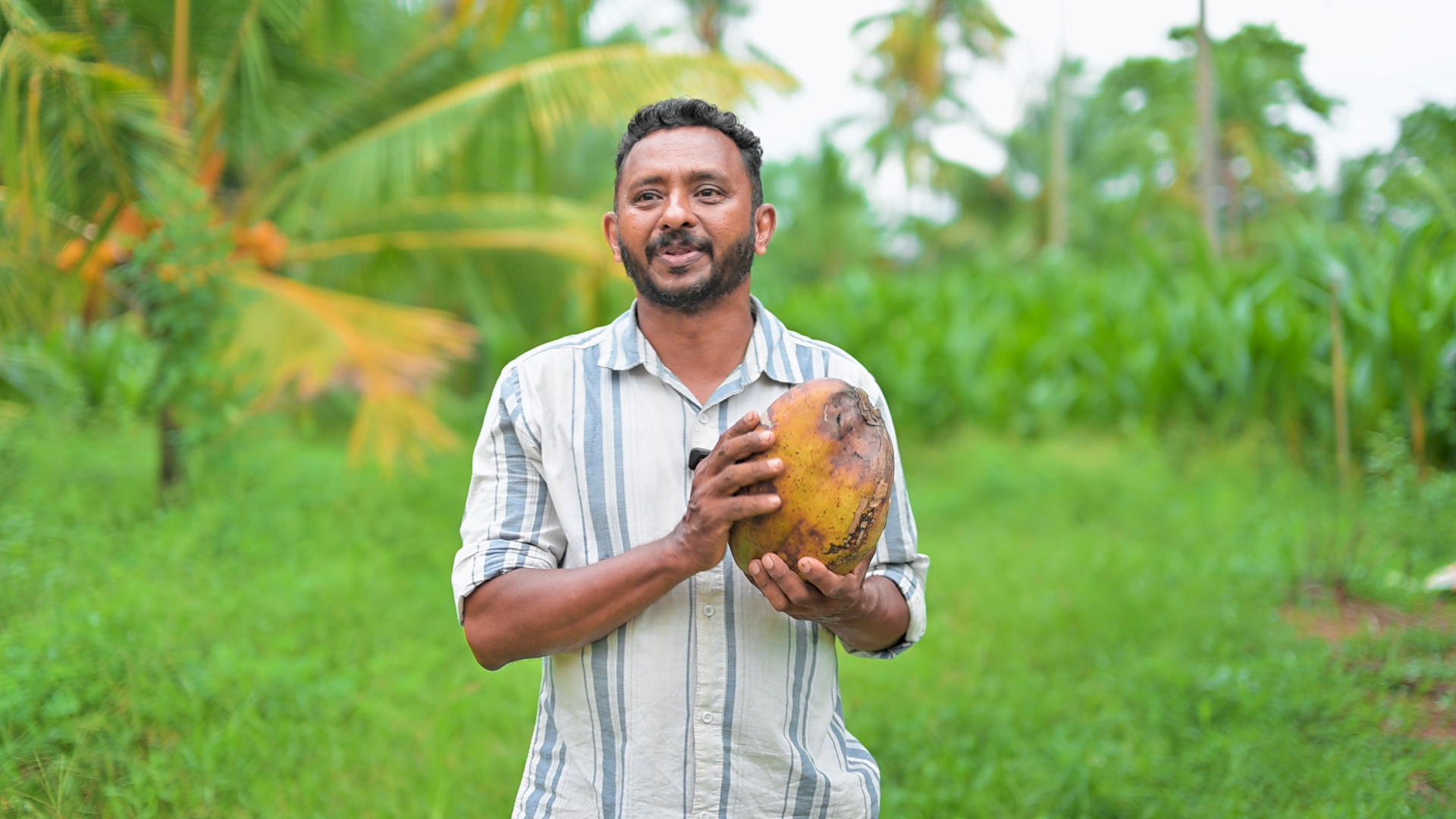 50രൂപക്ക് തെങ്ങിൻതൈ കിട്ടും ഇങ്ങനെയാണ് ഇവിടെ തൈ ഉല്പാദിപ്പിക്കുന്നത്