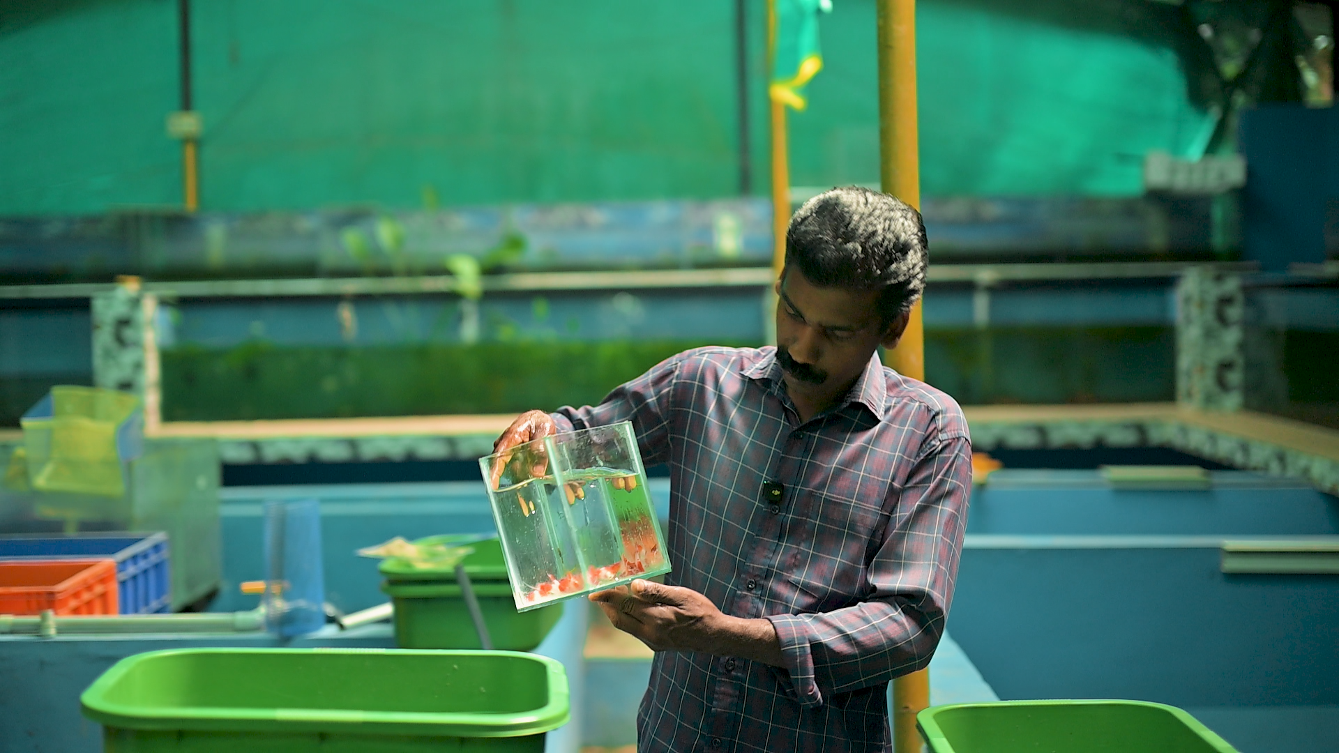 വെറും 5രൂപക്ക് മീൻ കിട്ടുന്ന  ഇത്രയും വലിയ ഫിഷ് ബ്രീഡിങ്ങ് ഫാം കണ്ടിട്ടുണ്ടോ