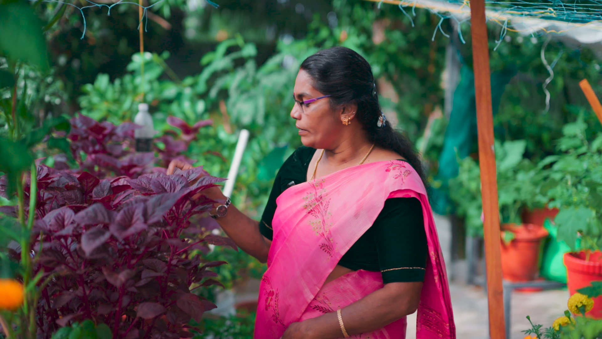 ഈ മട്ടുപ്പാവിൽ ഇല്ലാത്തതായി ഒന്നുമില്ല നെല്ല് മുതൽ ചോളം വരെ